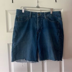 Lee Easy Fit (14 Medium) Jorts